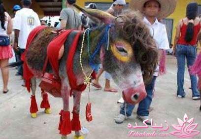 من شما را به چالش دعوت میکنم!